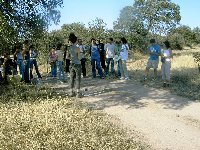 Corduba 06 / Fons Mellaria. Pilar Fernndez asegura que la dehesa cordobesa est desapareciendo poco a poco.