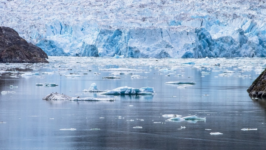 Concluye a finales de junio el próximo plazo para concurrir a las becas de National Geographic en España